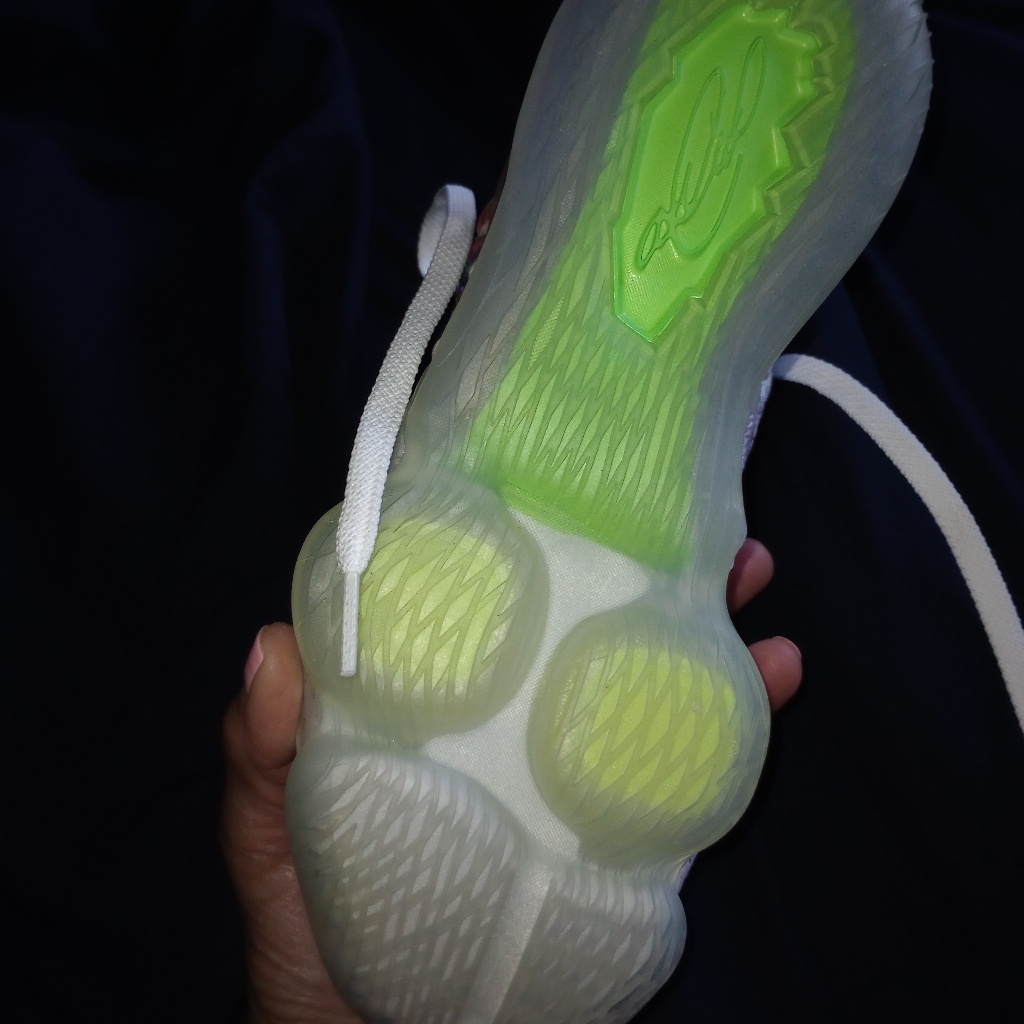 Lebron Sneakers